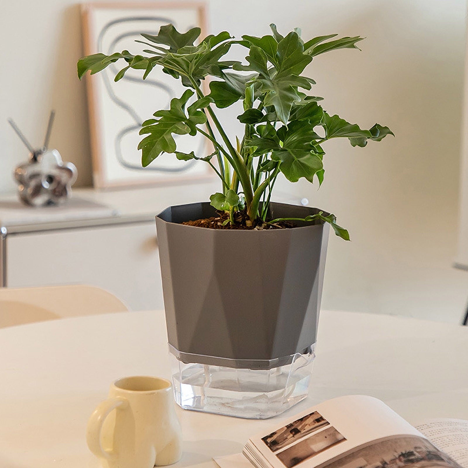 Gallickan Self Watering Planter, Self-Watering Pots with Drainage and Saucers, Clear Plastic Round Plants Pots for Planter, Flower, Office Home Decor, A