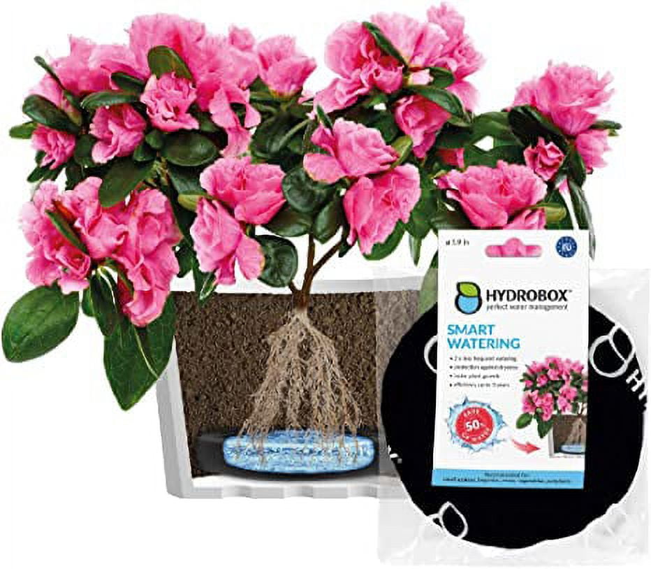 HYDROBOX 5.9'' Round Black Smart Planter with Self-Watering Feature
