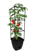 Harvest Bloom Garden Planter with Self-Watering System and Adjustable Trellis for Your Outdoor Balcony, Patio, or Backyard Garden by NuVue Products
