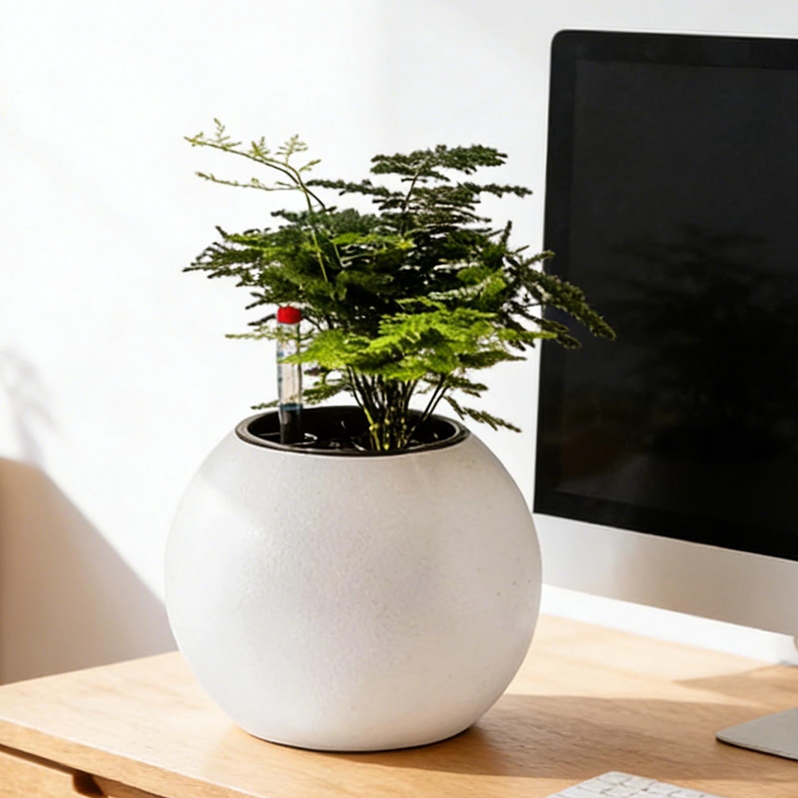 Hometravel Self Watering Plant Pot, Plastic Spherical Flower Container, Automatic Absorbing Planter for Indoor Desktop