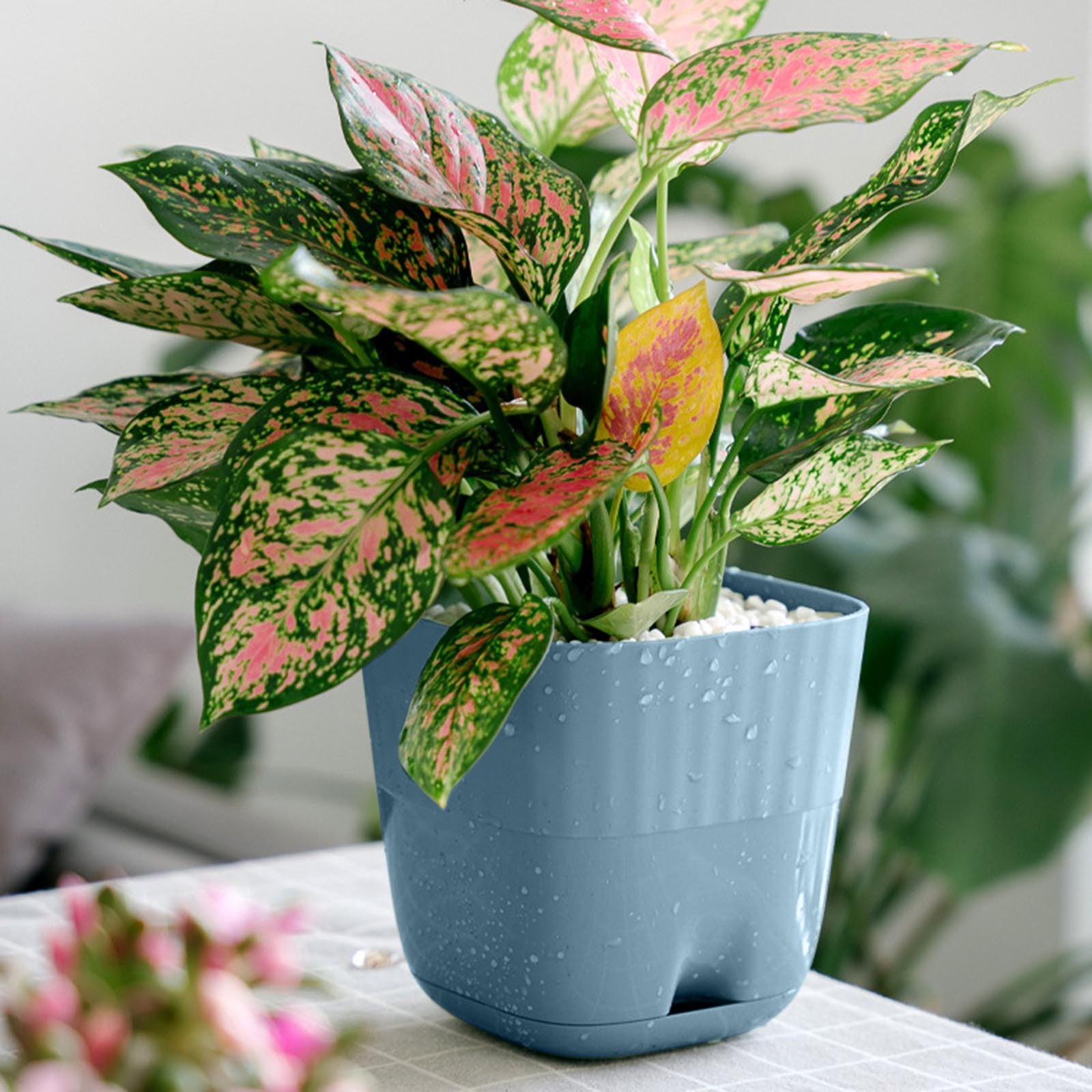 Self Watering Planter African Violet Pots Clear Plastic Automatic Flower Pot Square Plant For All House Plants Succulents Herb