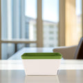 LOLIPPYY 2Pcs Rectangular Self-Watering Planters for Gardening with Automatic Watering Function