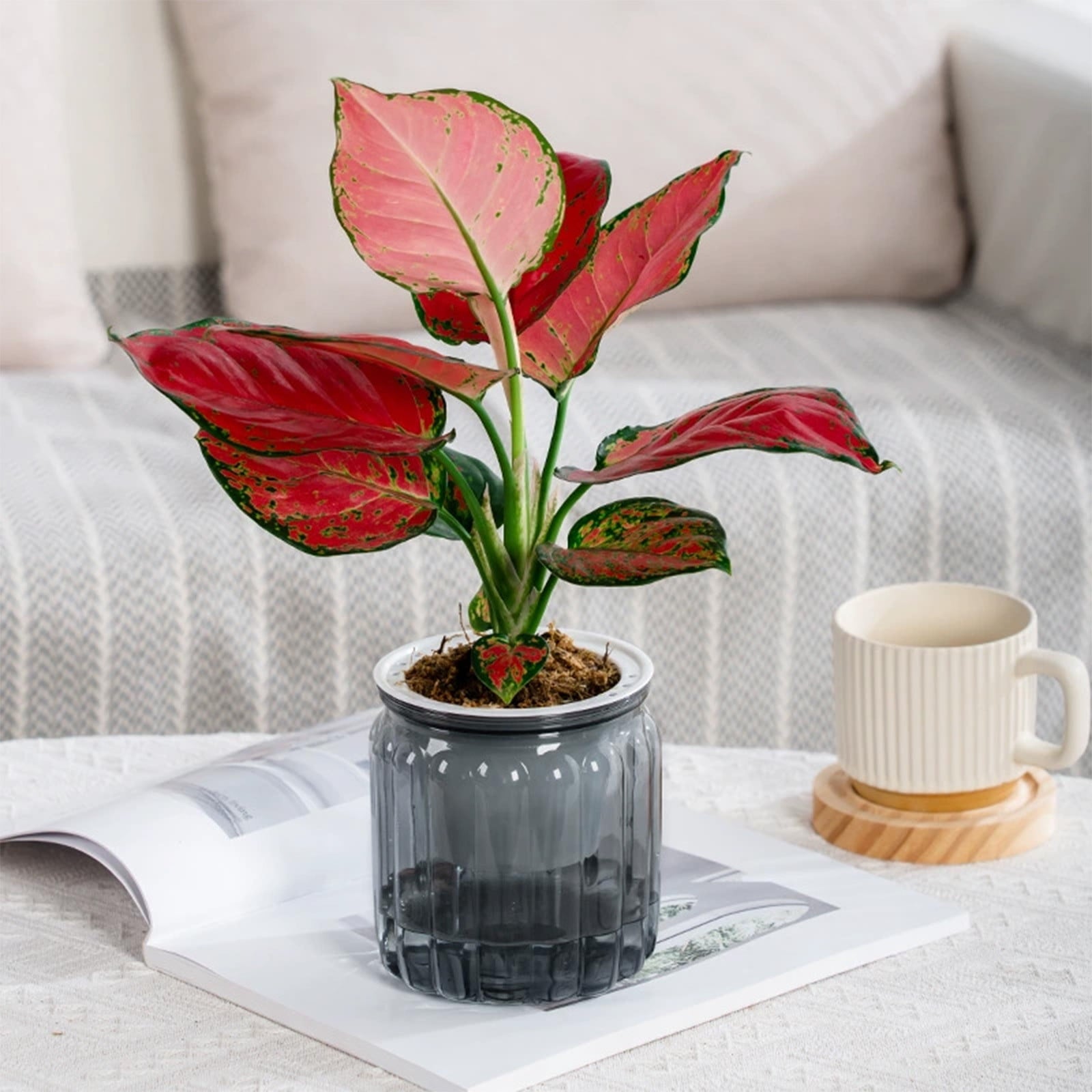 LWVITH Self Watering Vertical Stripe Planter Pot for Indoor Plants, Transparent or Colored Soil Hydroponic Flower Pot, Modern Home Office Desk Decor for Small Spaces