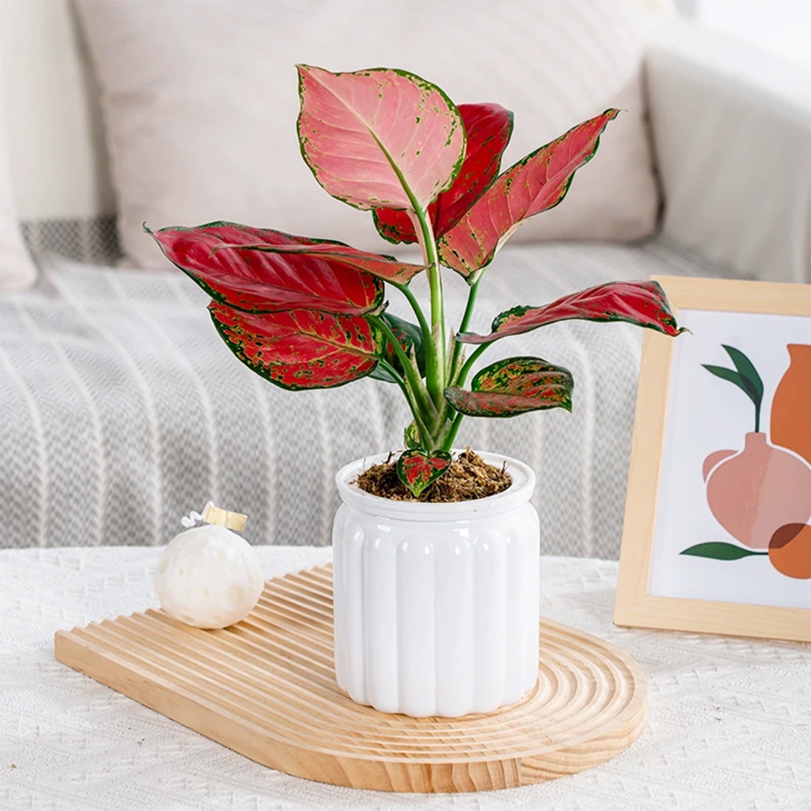 LWVITH Self Watering Vertical Stripe Planter Pot for Indoor Plants, Transparent or Colored Soil Hydroponic Flower Pot, Modern Home Office Desk Decor for Small Spaces