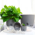 Leaveforme Self Watering Planter Pots,Resin Pots for Indoor Outdoor Windowsill Gardens, Self Aerating, Deep Reservoir