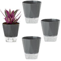 MODANU 4 Pack Self Watering Plant Pots Self Watering Planters for Indoor and Outdoor Plants African Violet 4.7" Self Watering Pots Clear Pots for Plants Herb Orchid Flower Houseplant Pots, Grey