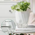 Plant Pots Self Watering Planter 6 Inch Plant for Indoor Plants with Drainage Hole and Clear Tray Self Watering Planter Garden Planting Pots Planting Indoor Outdoor Garden Plants Home Decor (White)