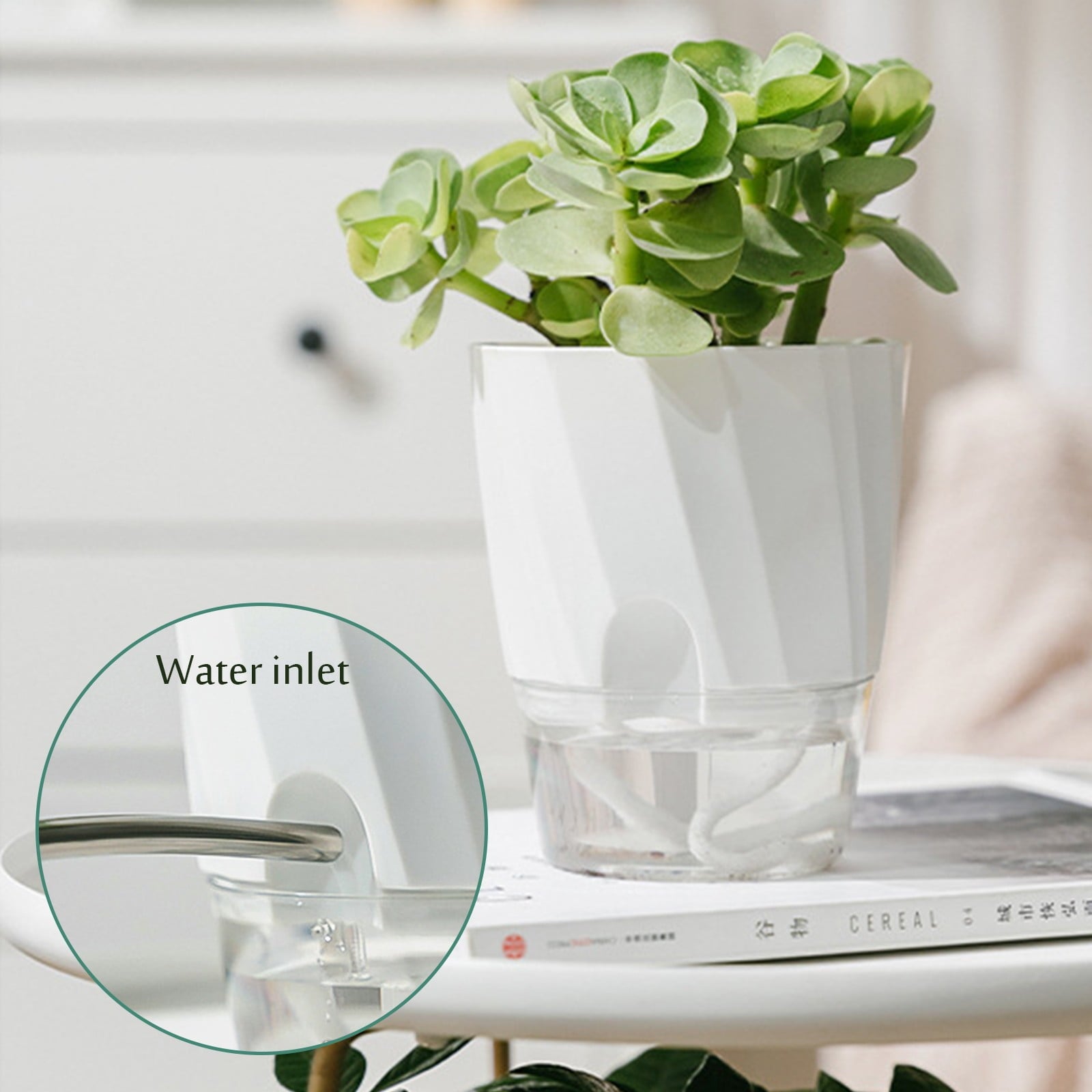 Plant Pots Self Watering Planter 6 Inch Plant for Indoor Plants with Drainage Hole and Clear Tray Self Watering Planter Garden Planting Pots Planting Indoor Outdoor Garden Plants Home Decor (White)