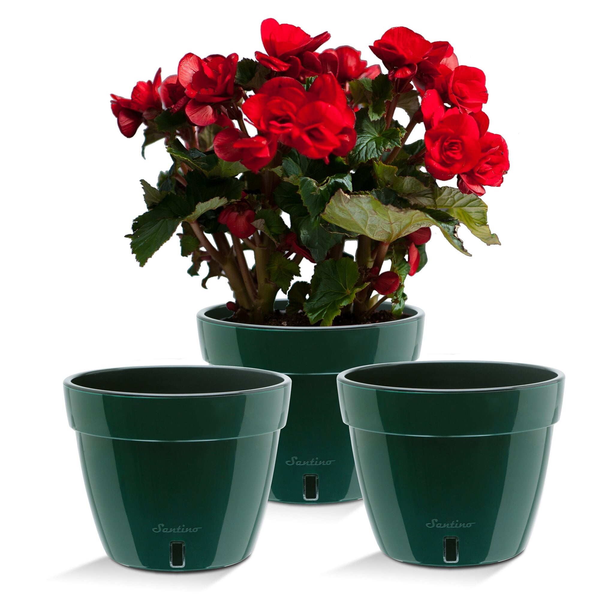 ❤️ Santino ASTI 7.9 Inch Self Watering Planters GREY/WHITE (Set of 3) for Indoor Plants - Modern Plastic Pot w/ Water level Indicator for All House Plants, African Violets and Dahlias