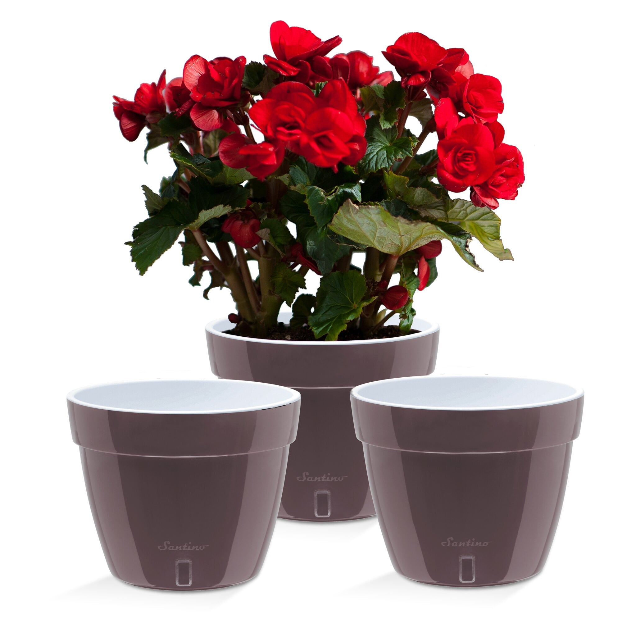 ❤️ Santino ASTI 7.9 Inch Self Watering Planters GREY/WHITE (Set of 3) for Indoor Plants - Modern Plastic Pot w/ Water level Indicator for All House Plants, African Violets and Dahlias