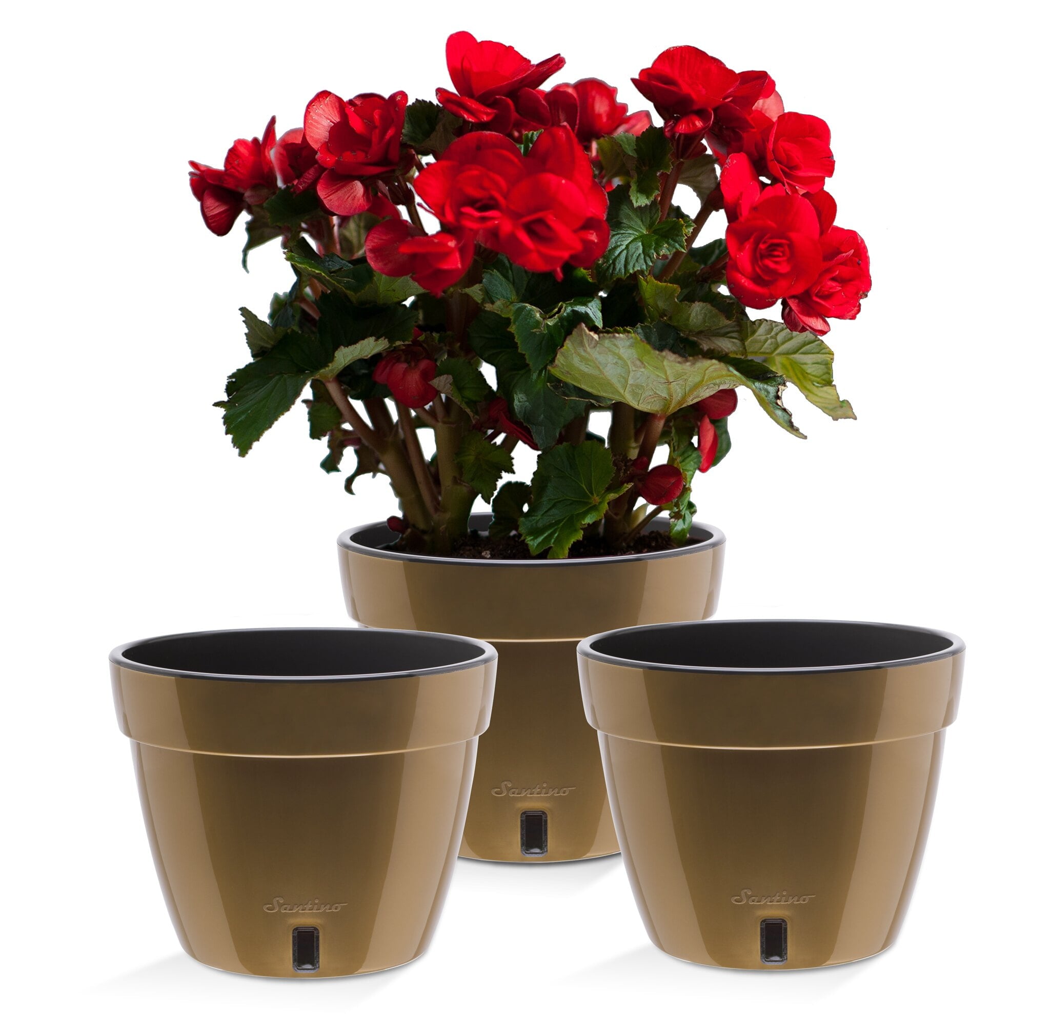 ❤️ Santino ASTI 7.9 Inch Self Watering Planters GREY/WHITE (Set of 3) for Indoor Plants - Modern Plastic Pot w/ Water level Indicator for All House Plants, African Violets and Dahlias