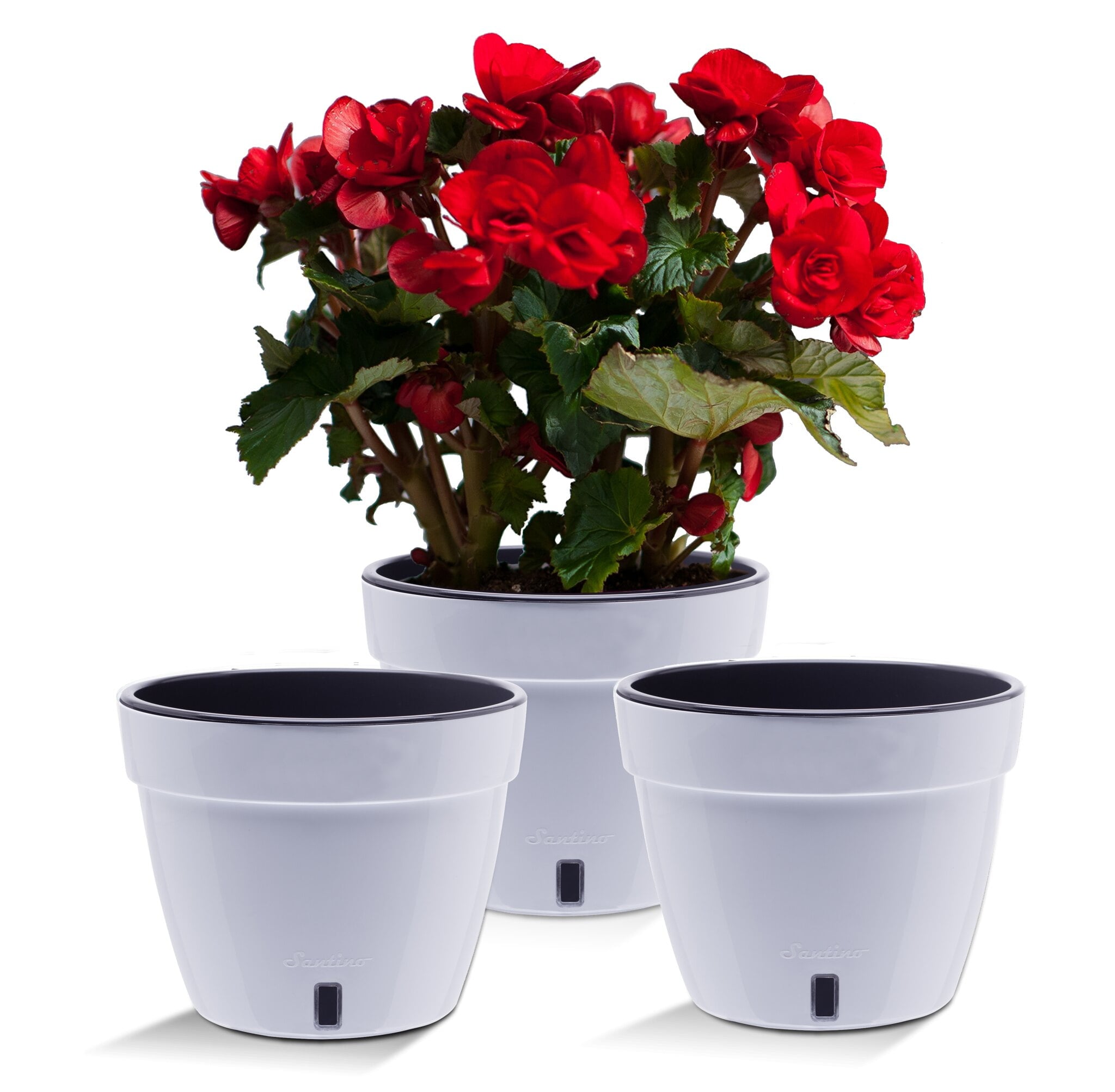 ❤️ Santino ASTI 7.9 Inch Self Watering Planters GREY/WHITE (Set of 3) for Indoor Plants - Modern Plastic Pot w/ Water level Indicator for All House Plants, African Violets and Dahlias