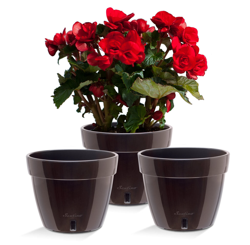 ❤️ Santino ASTI 7.9 Inch Self Watering Planters GREY/WHITE (Set of 3) for Indoor Plants - Modern Plastic Pot w/ Water level Indicator for All House Plants, African Violets and Dahlias
