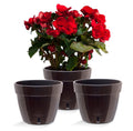 ❤️ Santino ASTI 7.9 Inch Self Watering Planters GREY/WHITE (Set of 3) for Indoor Plants - Modern Plastic Pot w/ Water level Indicator for All House Plants, African Violets and Dahlias