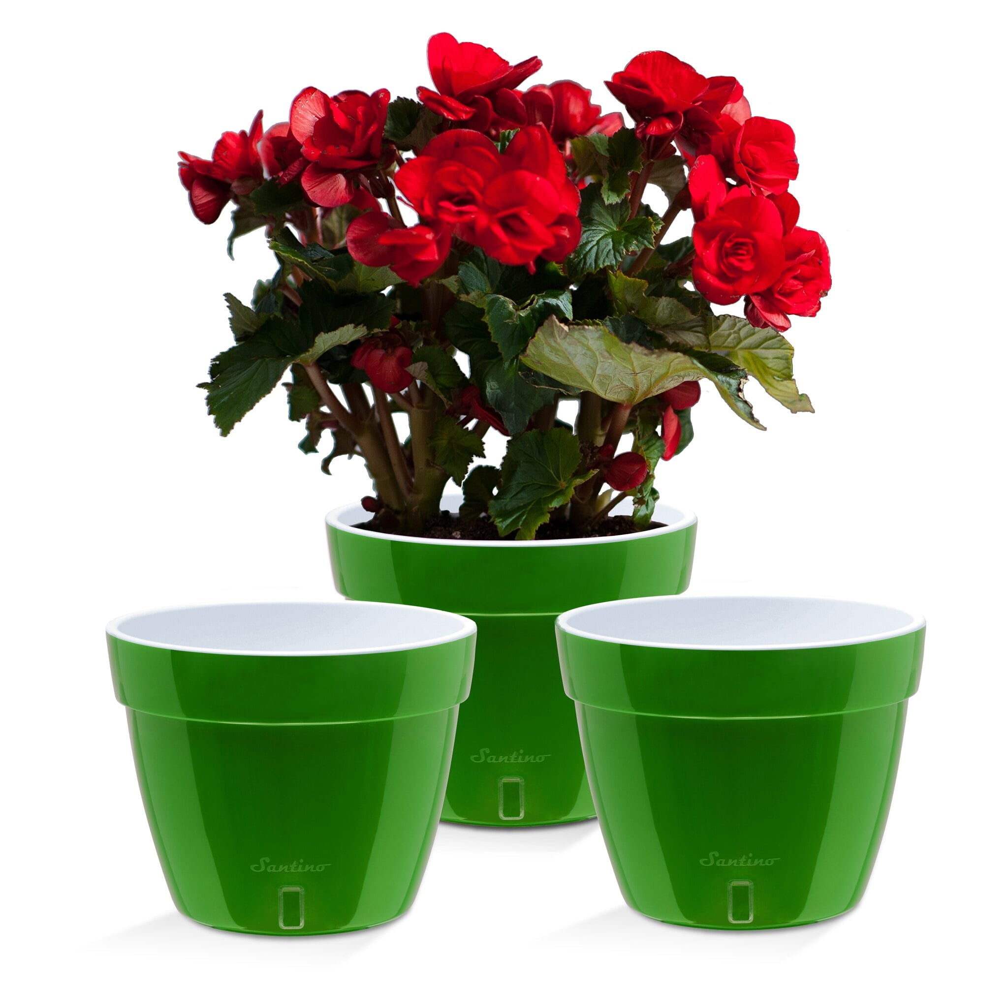 🪴 Santino ASTI 7.1 Inch Self Watering Planter GREEN-GOLD/WHITE (Set of 3) for Indoor Plants - Modern Plastic Pot w/ Water level Indicator for House Plants, African Violets and Dahlias