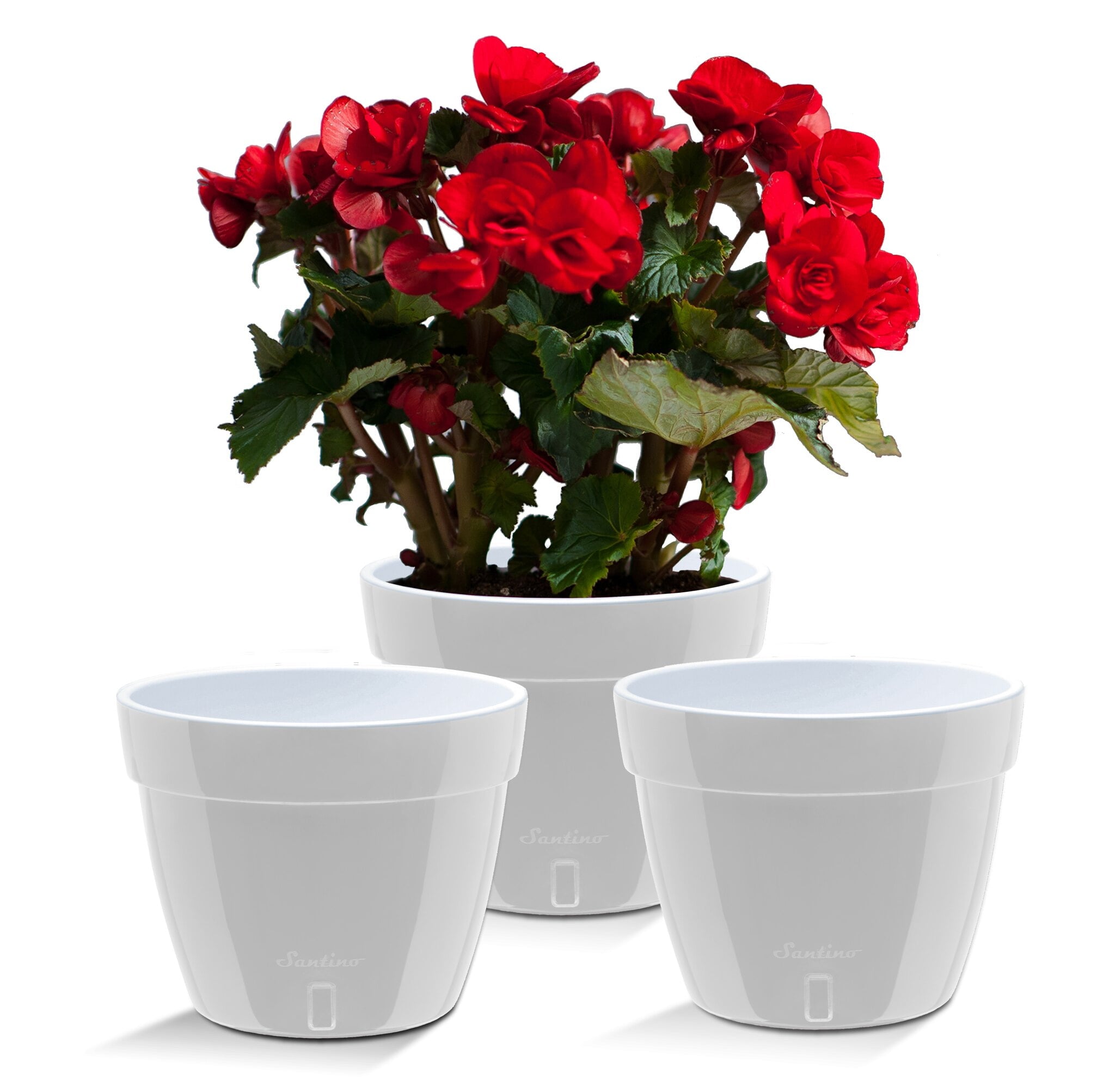 ❤️ Santino ASTI 7.9 Inch Self Watering Planters GREY/WHITE (Set of 3) for Indoor Plants - Modern Plastic Pot w/ Water level Indicator for All House Plants, African Violets and Dahlias