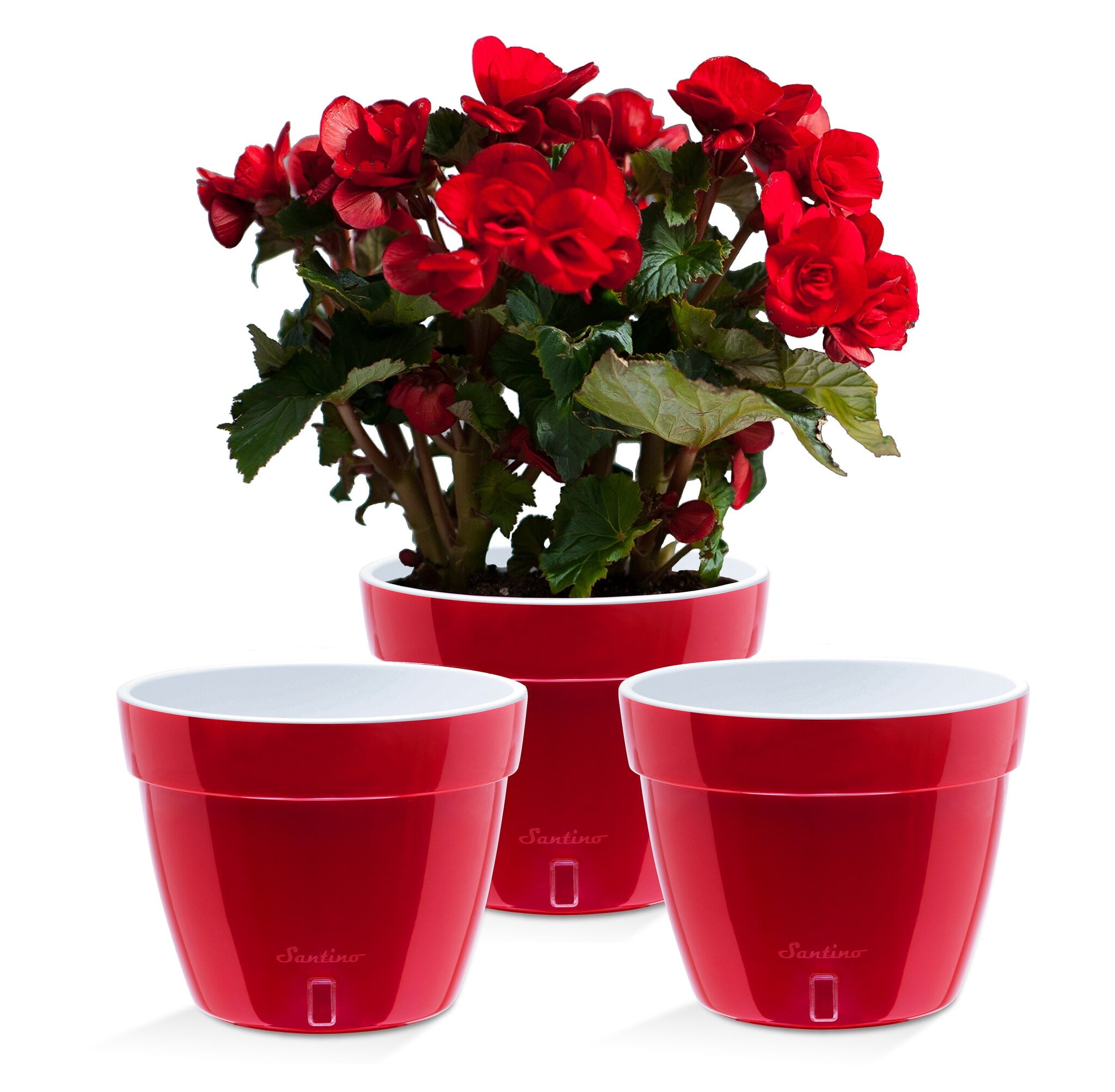 ❤️ Santino ASTI 7.9 Inch Self Watering Planters GREY/WHITE (Set of 3) for Indoor Plants - Modern Plastic Pot w/ Water level Indicator for All House Plants, African Violets and Dahlias