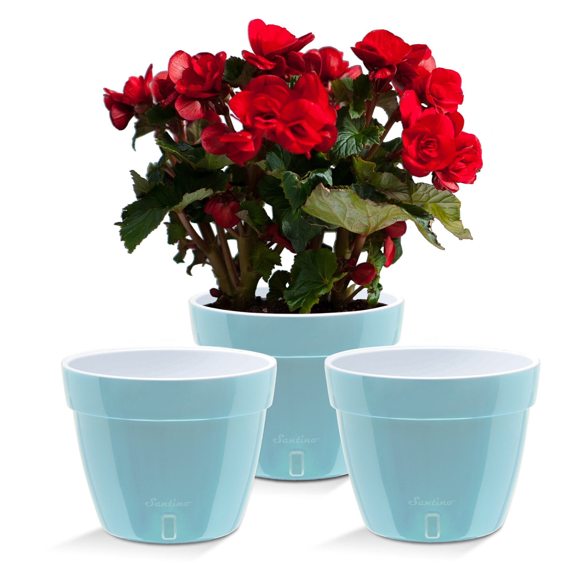❤️ Santino ASTI 7.9 Inch Self Watering Planters GREY/WHITE (Set of 3) for Indoor Plants - Modern Plastic Pot w/ Water level Indicator for All House Plants, African Violets and Dahlias