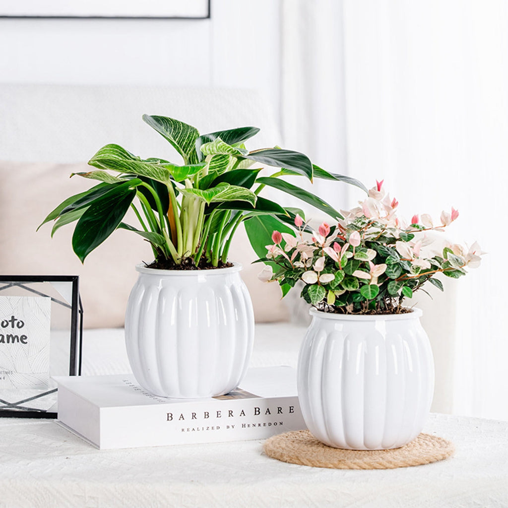 Self Watering Plant Pots for Indoor Plants, 30 Days Water Storage Planter with Water Level Indicator, Automatic Planters for Home Decor, Garden, Kitchen, Office