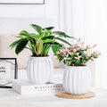 Self Watering Plant Pots for Indoor Plants, 30 Days Water Storage Planter with Water Level Indicator, Automatic Planters for Home Decor, Garden, Kitchen, Office