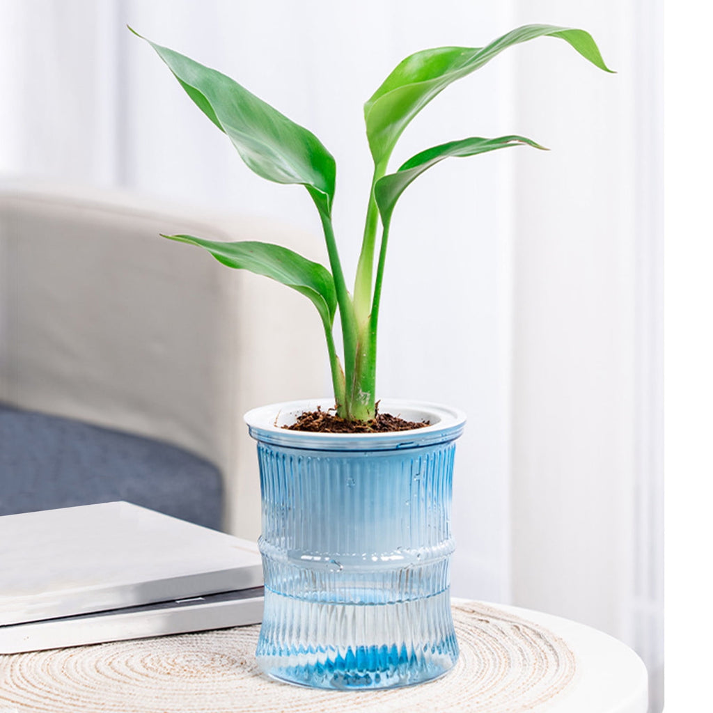 Self Watering Planter under $5! CQCYD Self Watering Plant Pots for Indoor Plants, Automatic Watering Planters for Houseplants, Plastic Flower Pots with Water Reservoir, Lazy Gardener Plant Containers