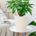 Self Watering Planter Self-Watering Planter Pot - 7"X6.5" Smart Circular Flowerpot with Water Reservoir, Auto Irrigation System for Indoor Herbs, Balcony Plants Auto Irrigation Pot