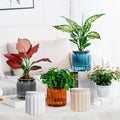 Sentmoon Planter Transparent Hydroponic Pot Large Vertical Ribbed Clear Plastic Planter Desktop Indoor Self Watering Pot for Green Lovers Home Office Terrarium