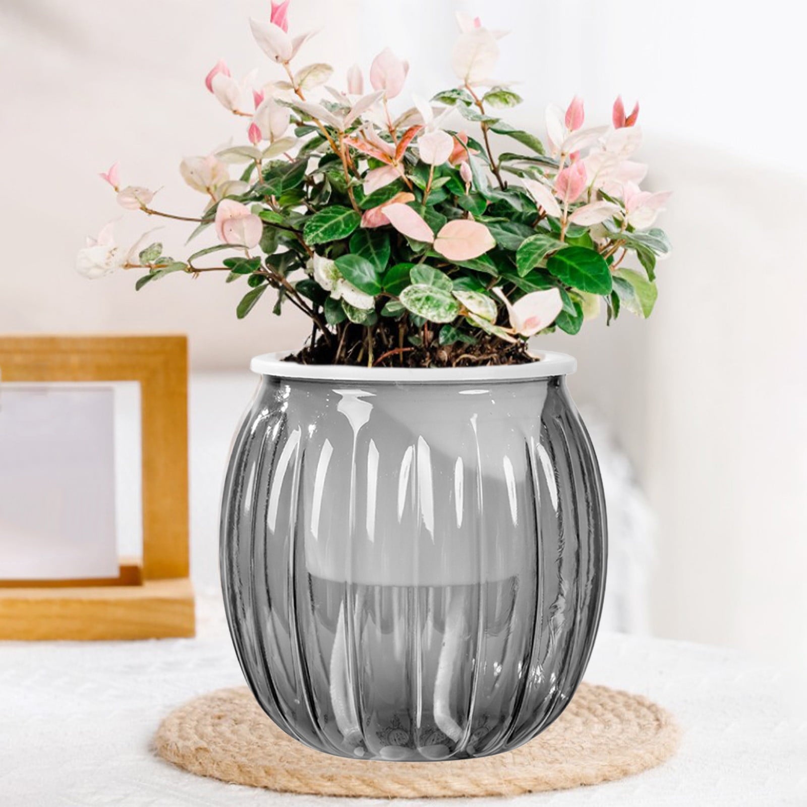 Todaioua 4 Inch Self Watering Plant Pot, Self Watering Pots, Small Self Watering Planter with Reservoir for Indoor Plants for Garden Home, Green Plant Lovers (Transparent Gray)
