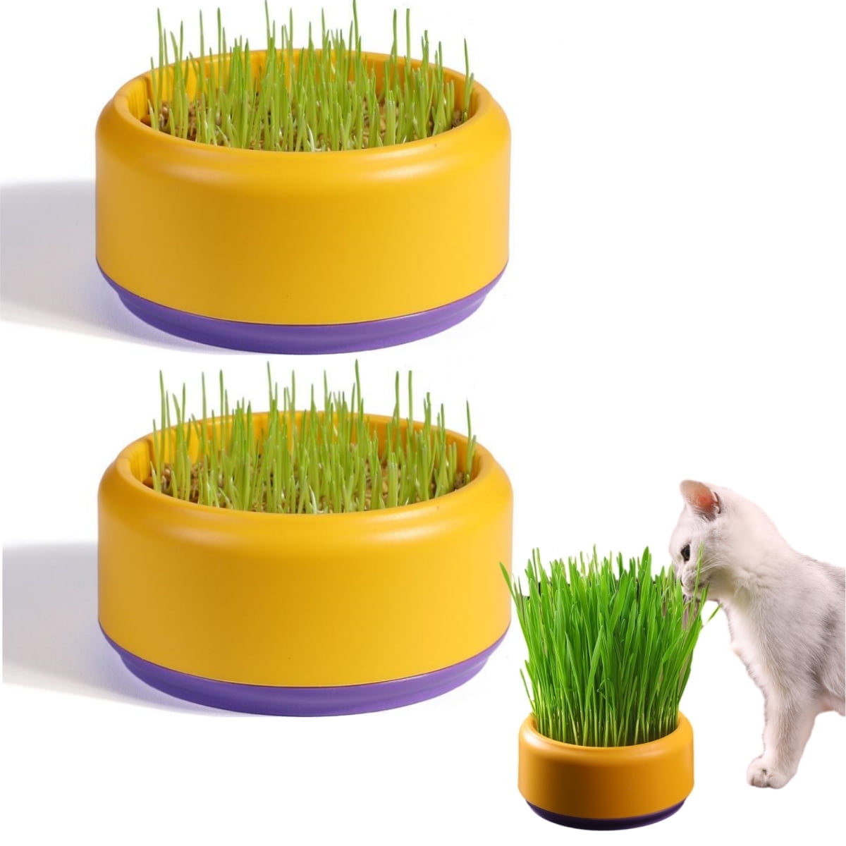 Trianu 2 Pack Cat Grass Planter Self Watering Pots Cat Plant Nursery Planting Box Cat Grass Planting Container Hydroponic Plants for Cats (Yellow, NO SEEDS)