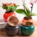 Visland Self Watering Planter, Self Watering Pot for Indoor Plants Wicking Pots, Vitange Decorative Planter Pot for House Plants Succulents