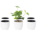 White Flower Pot Self Watering Planter, 6 Pack