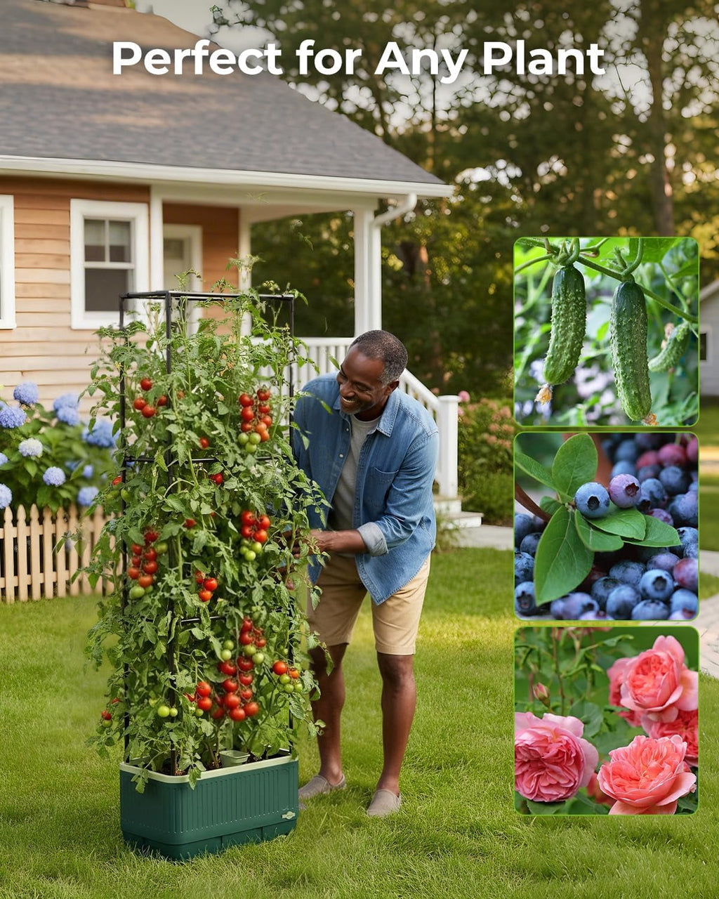 51" Self Watering Planter Box with Trellis, Tomato Cage with Water Level Indicator, Indoor Outdoor Raised Garden Bed