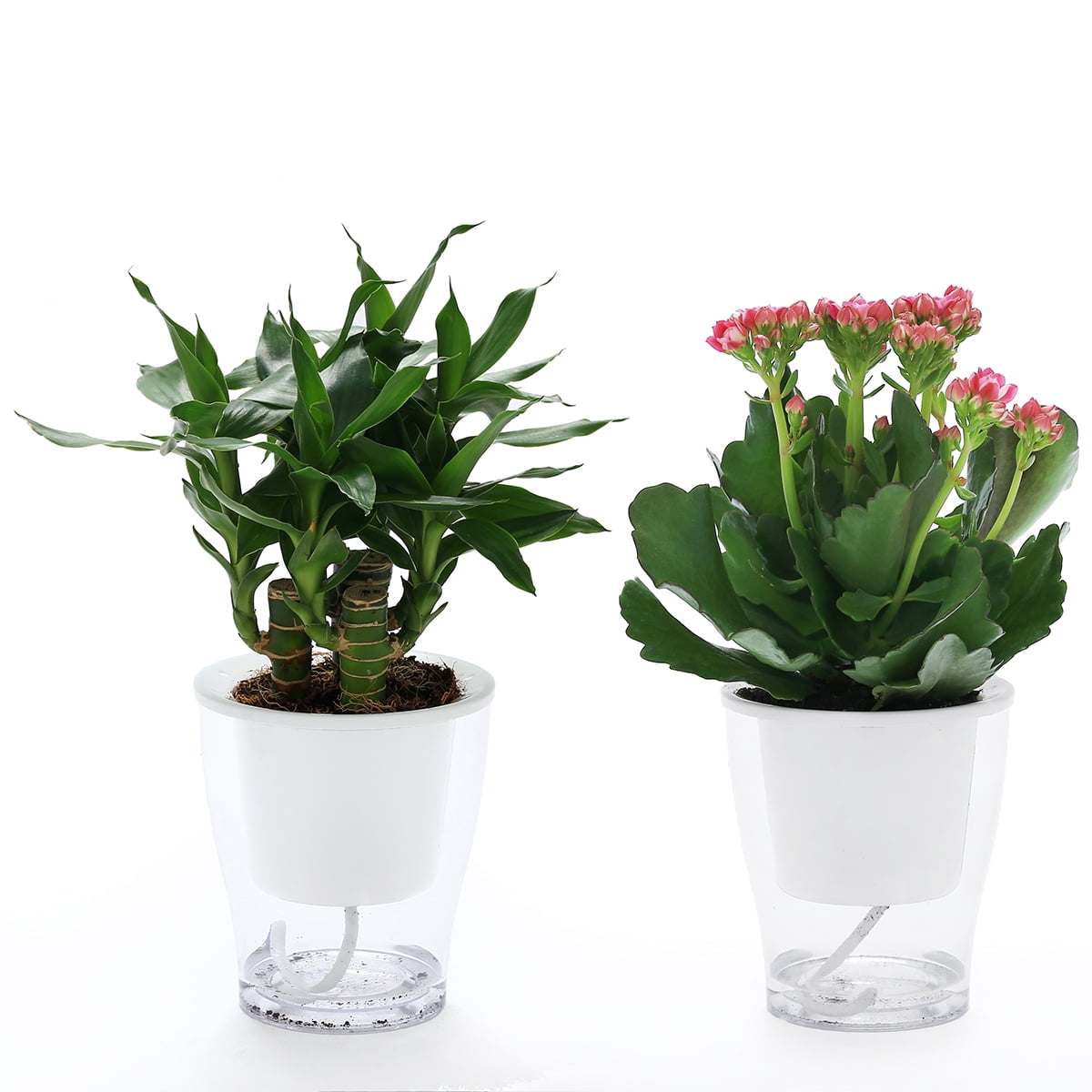 5 Packs 4.3 Inches Clear Self Watering Planters Plastic Self Watering Pots Wick Flower Pots for Indoor Plants, African Violet, Ocean Spider Plant, Orchid, Clear and White