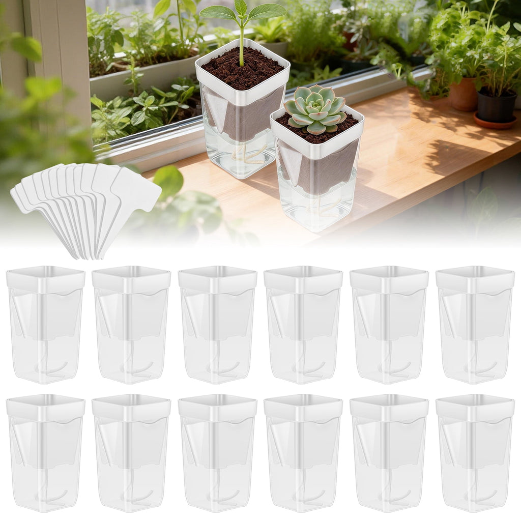 12 Pack Self Watering Plant Pot Mini Self Watering Pot for Indoor Small Clear Plastic Planter for Propagation Cutting Seeding with Reservoir Drainage Holes and Labels