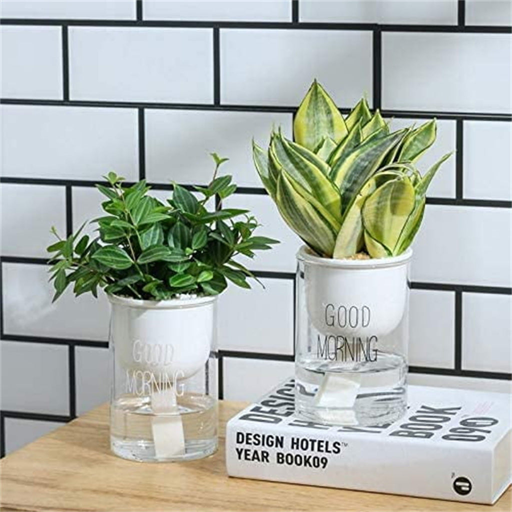 EZPXFCI 1PCS Self Watering Planters 4.72 Inch Self Watering Pots for Indoor Plants, African Violet Pots with Wick Rope, Flowers, Succulents, Herb, House Plants
