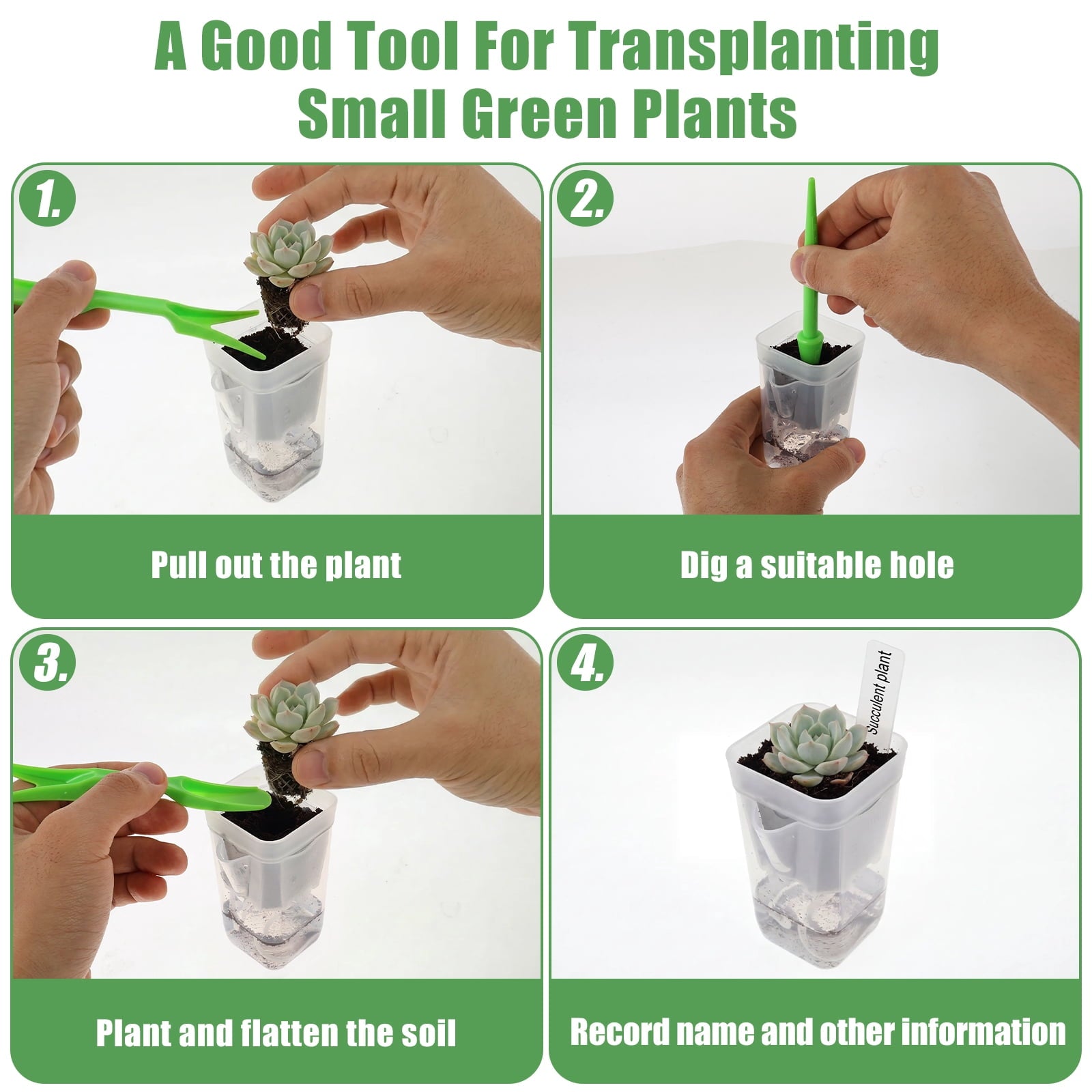 12 Pack 2" Mini Self Watering Pots for Indoor Plants Small Clear Plastic Planters Alocasia Corm Propagation African Violet Cutting Seeding Water Level Indicator Drainage Hole 12 Plant Label