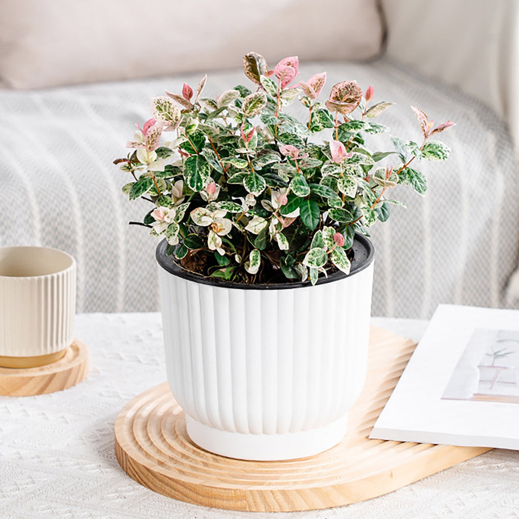M Medium Self Watering Planter Round Resin Flower Pot With Vertical Pattern For Succulents Roses Tabletop Indoor Plants