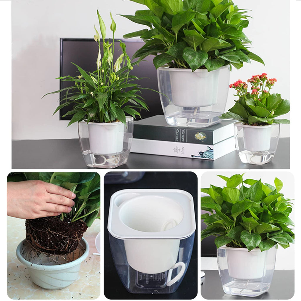 Sungmor Clear Self Watering Planter for Indoor Plants, 3 Pack 6.9 Inch Plastic Violet Flower Pots, Square Watering Plant Pot for House Plants,Orchid,Succulents, Herbs