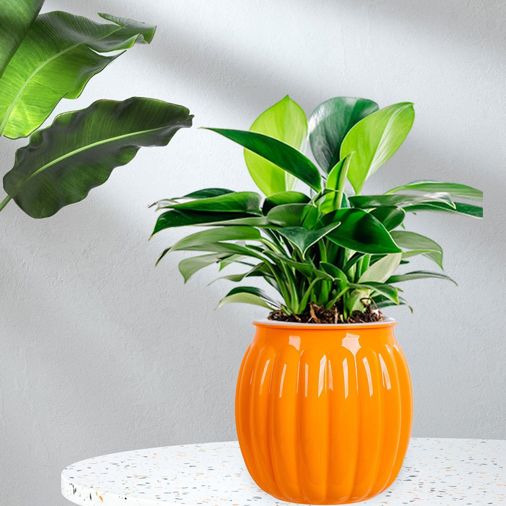 KeirineCC 4" Pumpkin Planter Self Watering Pot,5x4 Inch Plant Plastic Pots Indoor,Self Watering Orchid Pot Pumpkin Planter Flower Pot for All House Plants,Flowers,African Violets,1 Pcs,Orange