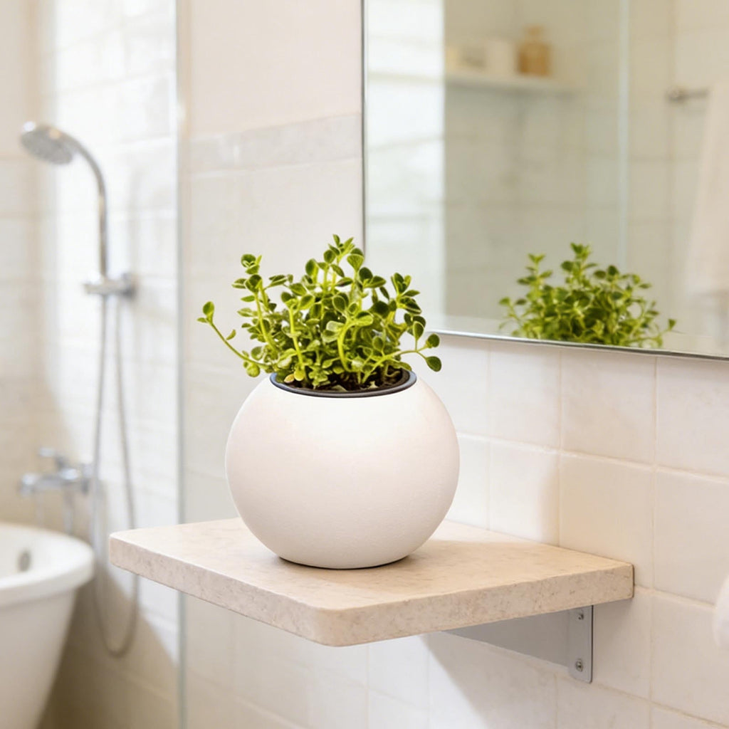 Hometravel Self Watering Plant Pot, Plastic Spherical Flower Container, Automatic Absorbing Planter for Indoor Desktop