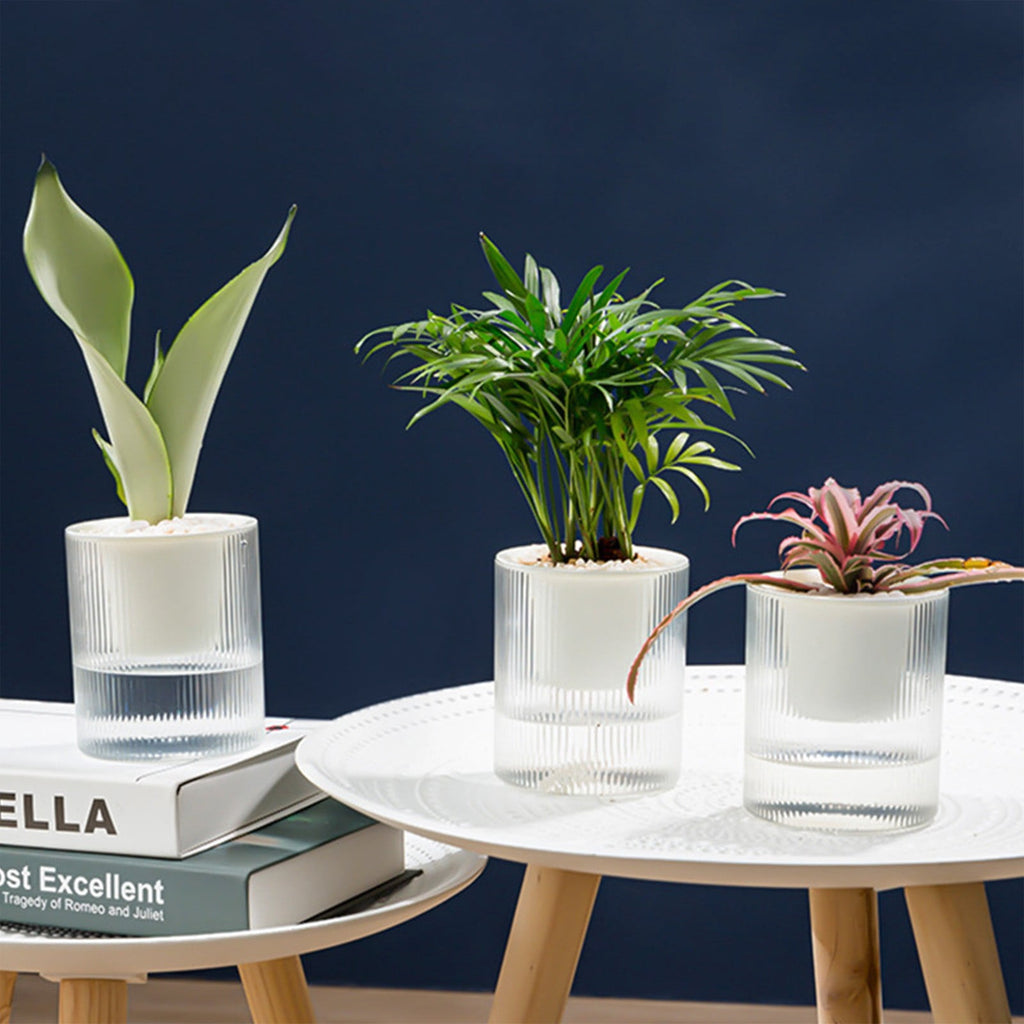 HANXIULIN Self Watering Planter African Violet Pots Clear Plastic Automatic Watering Planter Flower Pot Square Plant Pot for All House Plants Succulents Herb 4Inch
