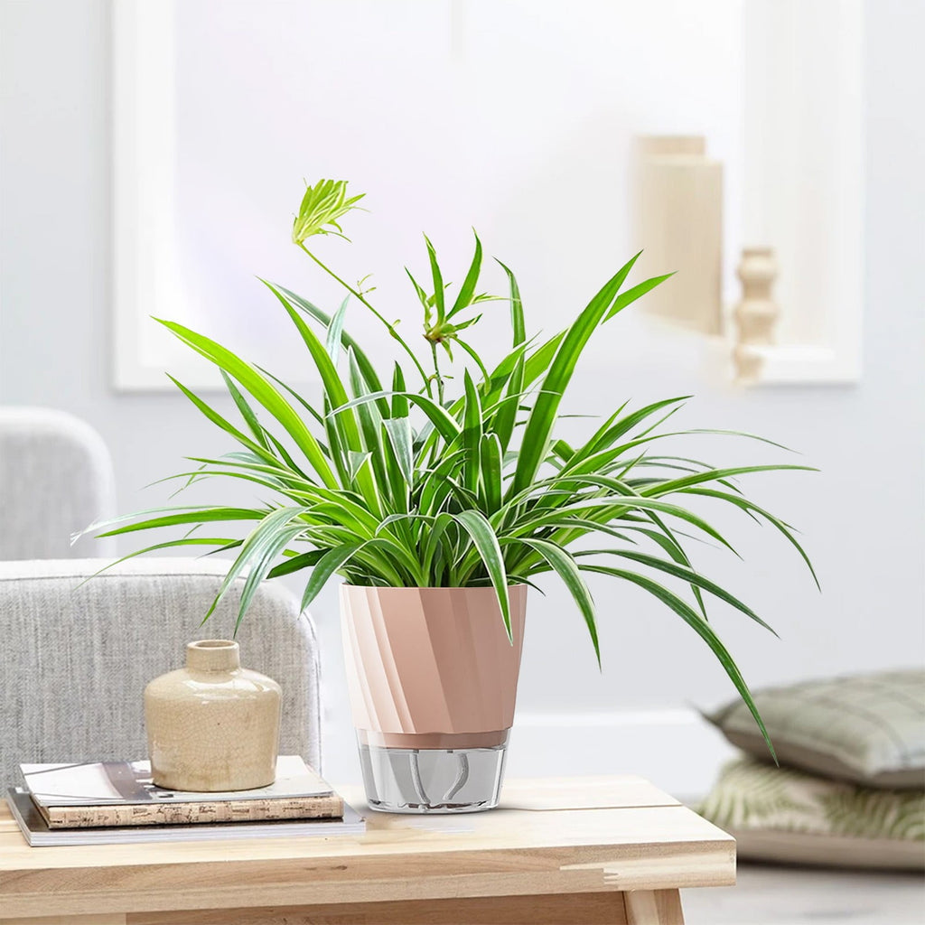 Qholemyo Stackable Self Watering Planter Water Culture Pot for Pothos Indoor Plants Home Decor