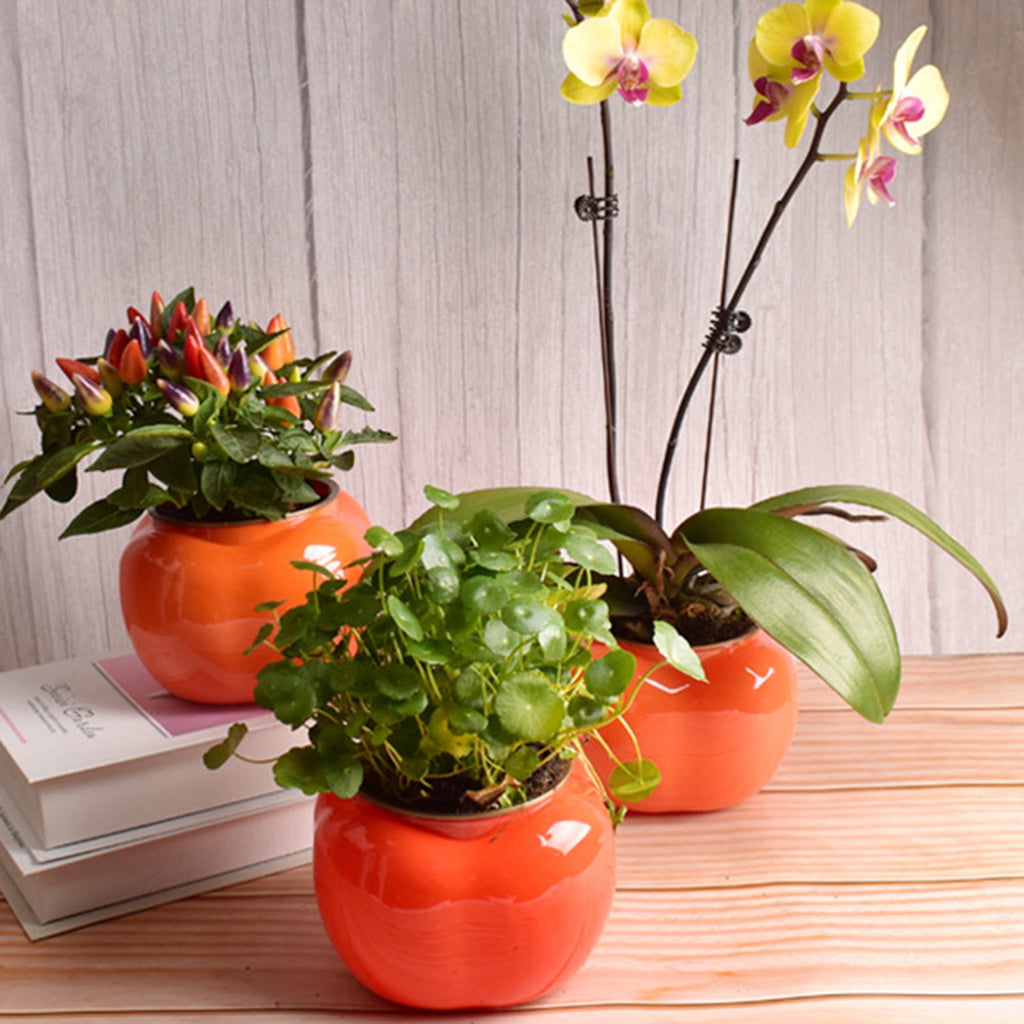 Visland Self Watering Planter, Self Watering Pot for Indoor Plants Wicking Pots, Vitange Decorative Planter Pot for House Plants Succulents