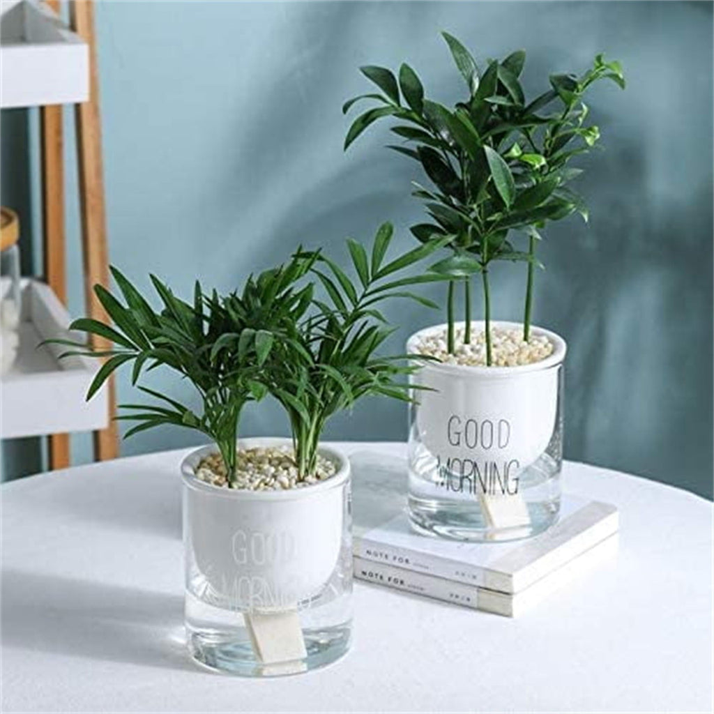 EZPXFCI 1PCS Self Watering Planters 4.72 Inch Self Watering Pots for Indoor Plants, African Violet Pots with Wick Rope, Flowers, Succulents, Herb, House Plants