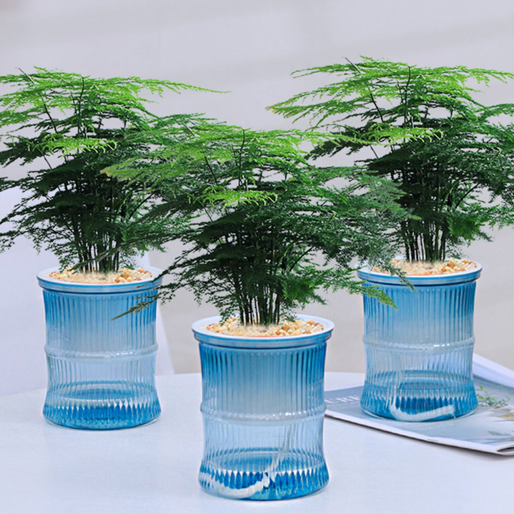 Self Watering Planter under $5! CQCYD Self Watering Plant Pots for Indoor Plants, Automatic Watering Planters for Houseplants, Plastic Flower Pots with Water Reservoir, Lazy Gardener Plant Containers