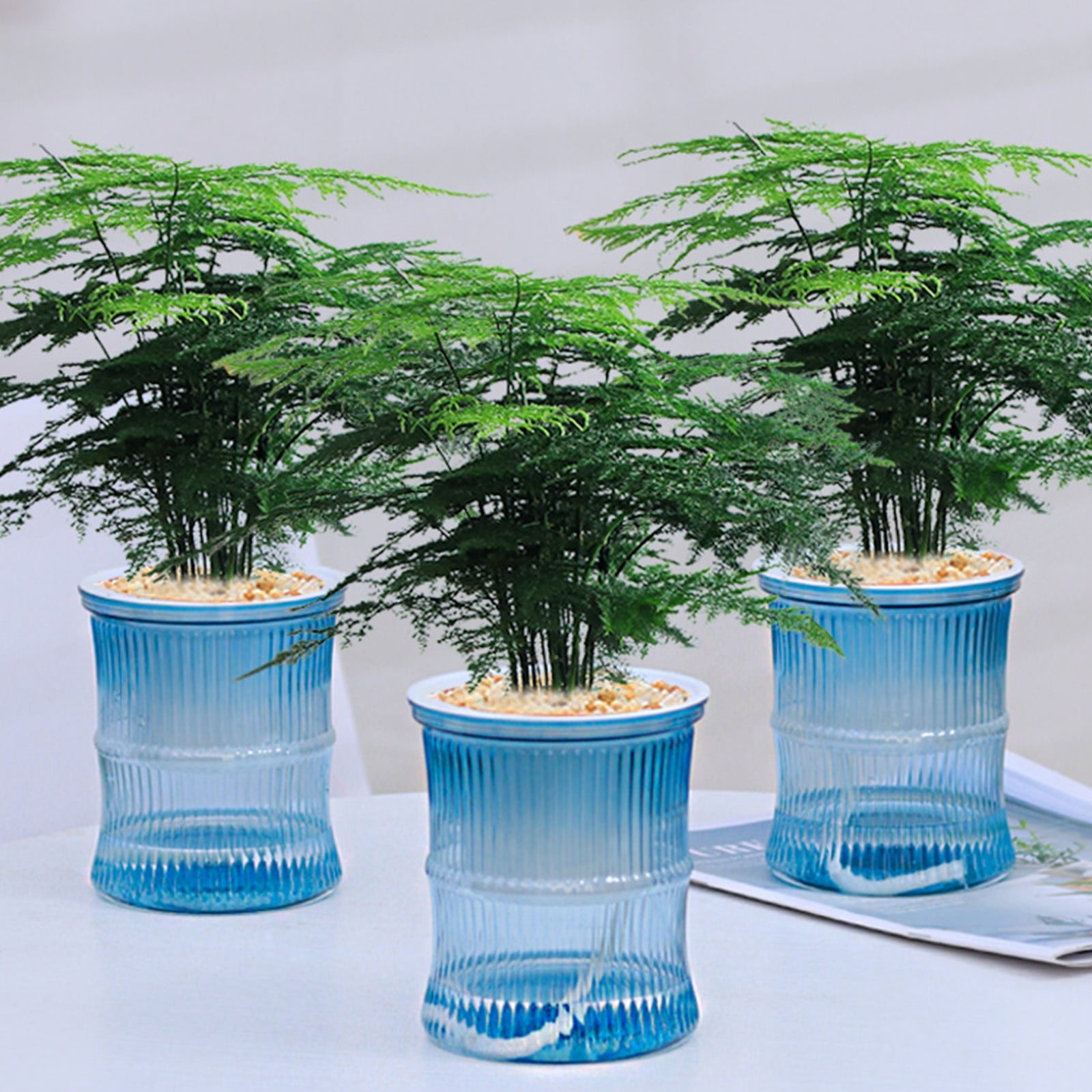 Self Watering Planter under $5! CQCYD Self Watering Plant Pots for Indoor Plants, Automatic Watering Planters for Houseplants, Plastic Flower Pots with Water Reservoir, Lazy Gardener Plant Containers
