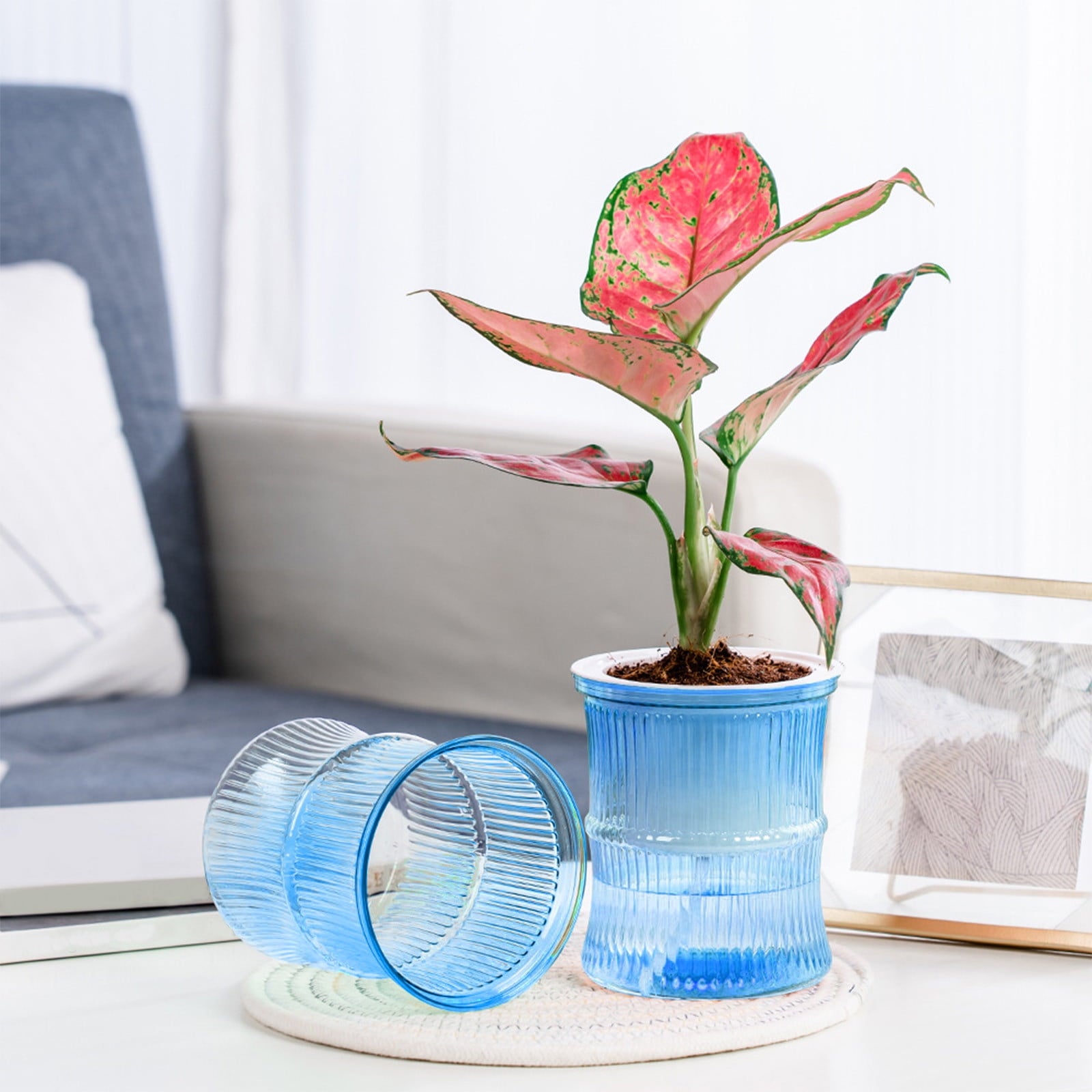 Self Watering Planter under $5! CQCYD Self Watering Plant Pots for Indoor Plants, Automatic Watering Planters for Houseplants, Plastic Flower Pots with Water Reservoir, Lazy Gardener Plant Containers
