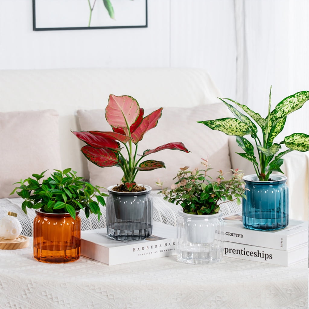 Stylish Self Watering Planter with Large Capacity for Extended Watering Interval