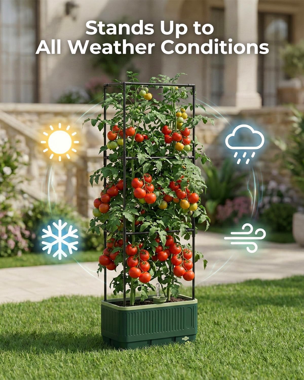 51" Self Watering Planter Box with Trellis, Tomato Cage with Water Level Indicator, Indoor Outdoor Raised Garden Bed