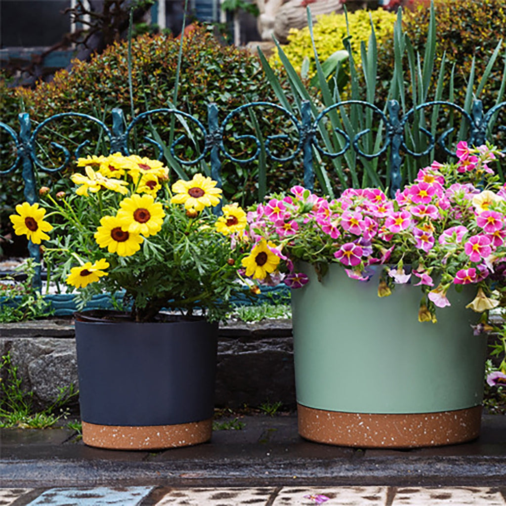 Xwjun African Violet Pots Planting Pots House Plant Pots Self Watering Plastic Planter With Drainage Hole And Saucer Decorative Flower Pot Flower Pots For Indoor Plants Indoor Plant Pots A